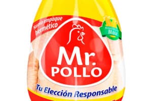 Mr.Pollo