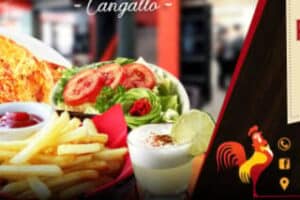 Polleria Chifa Don Teo