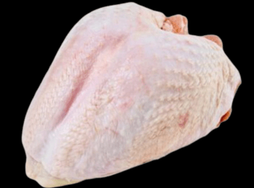 polleria la pluma dorada