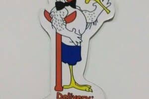 Polleria Mister Cojo