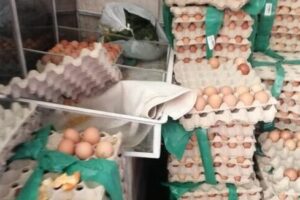 Pollerias en Angaraes en Peru