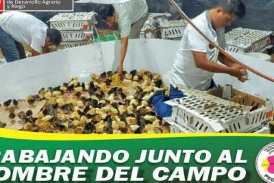 pollerias en santa maria de nieva en peru