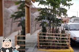 Pollos y parrilladas yosselin 2