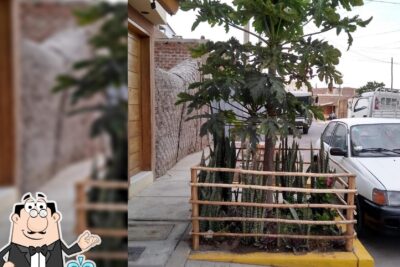 pollos y parrilladas yosselin 2