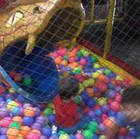 Restaurant Polleria «El Pollito Locuas»